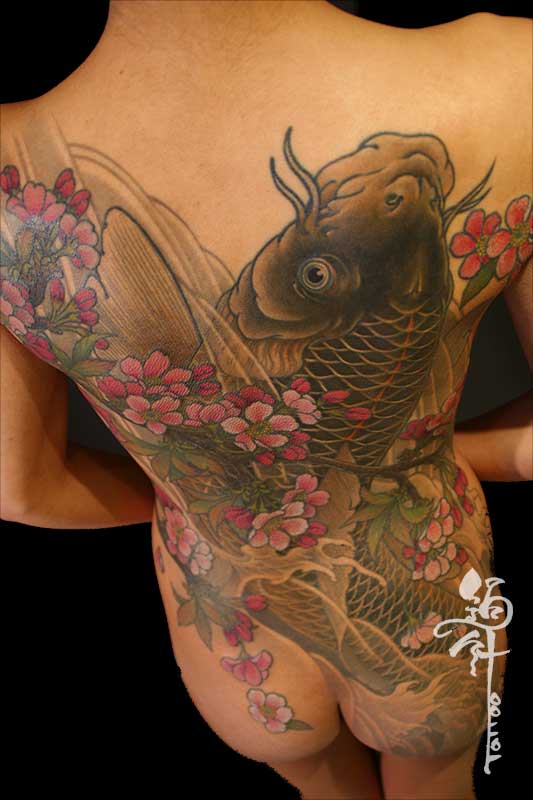 背面部への鯉、桜のタトゥー5